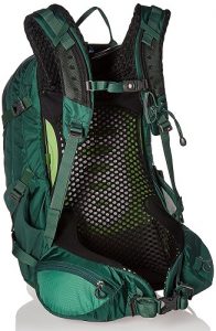 Osprey Manta AG 36 Spruce Green Back
